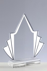 Trofee din Acril ASW 105